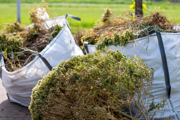 Best Construction Debris Removal  in Hales Corners, WI