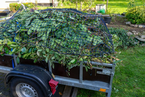 Reliable Hales Corners, WI Junk Removal Services Solutions